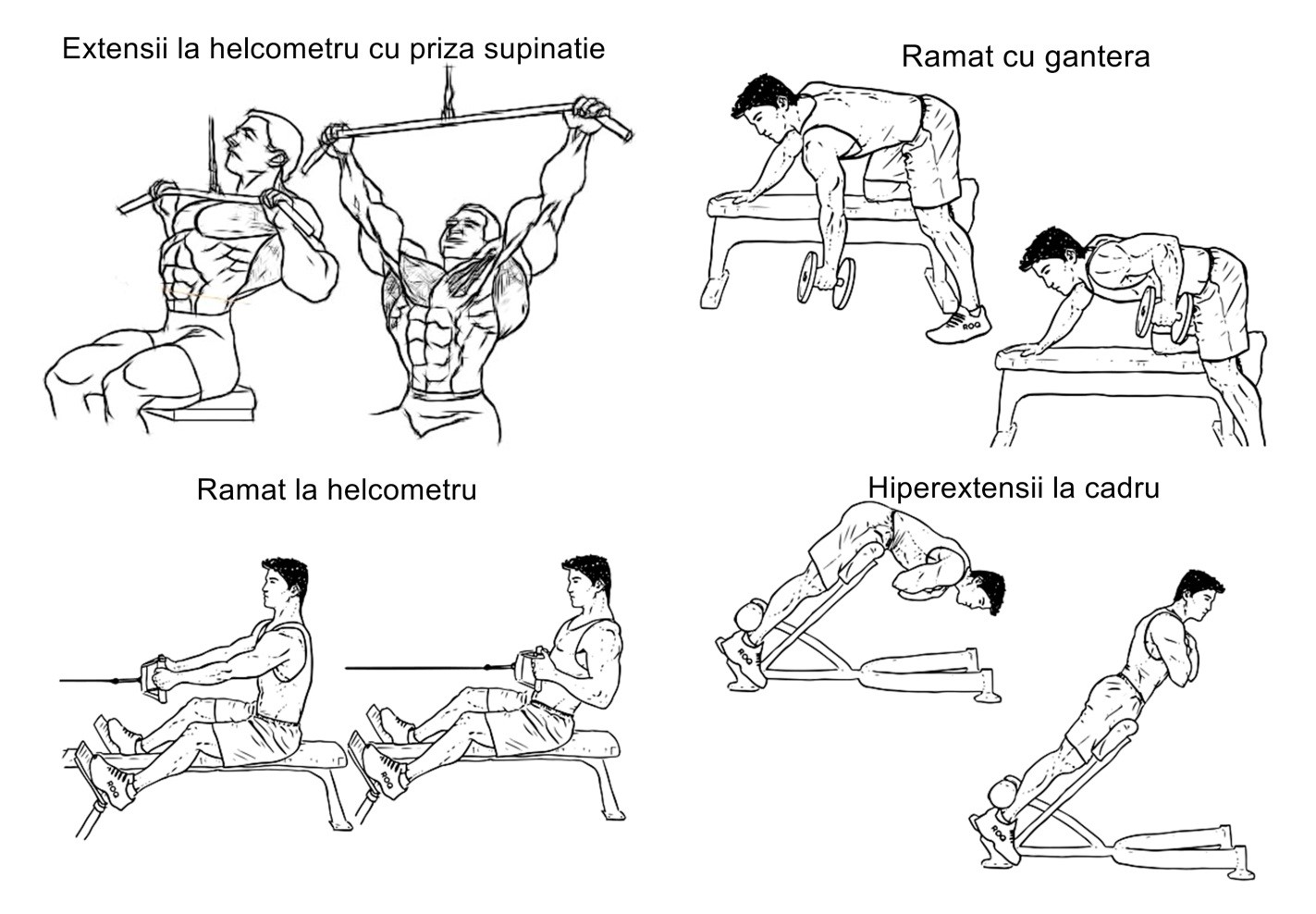 Exercitii fizice in sala de sport pentru prostatita